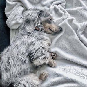 Meet your Posher, Paola